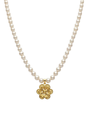 Floras srebrna ogrlica
